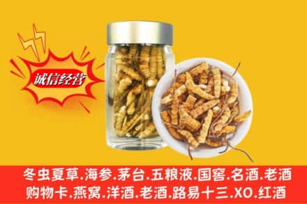 湖州市吴兴回收散虫草
