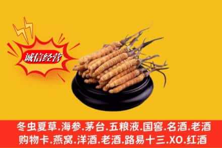 湖州市吴兴名酒回收冬虫夏草.jpg
